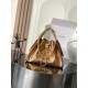 CHANEL 25S HOBO