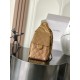 CHANEL 25S HOBO