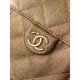 CHANEL 25S HOBO