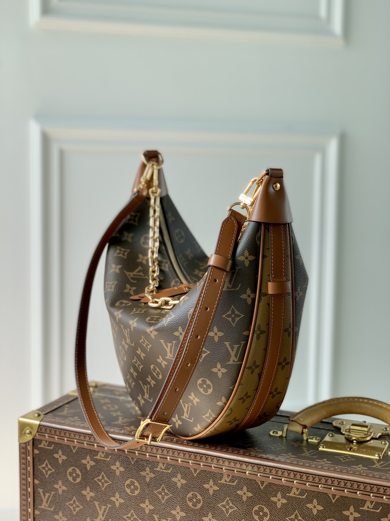 Louis Vuitton M46311 (38×30×10)cm