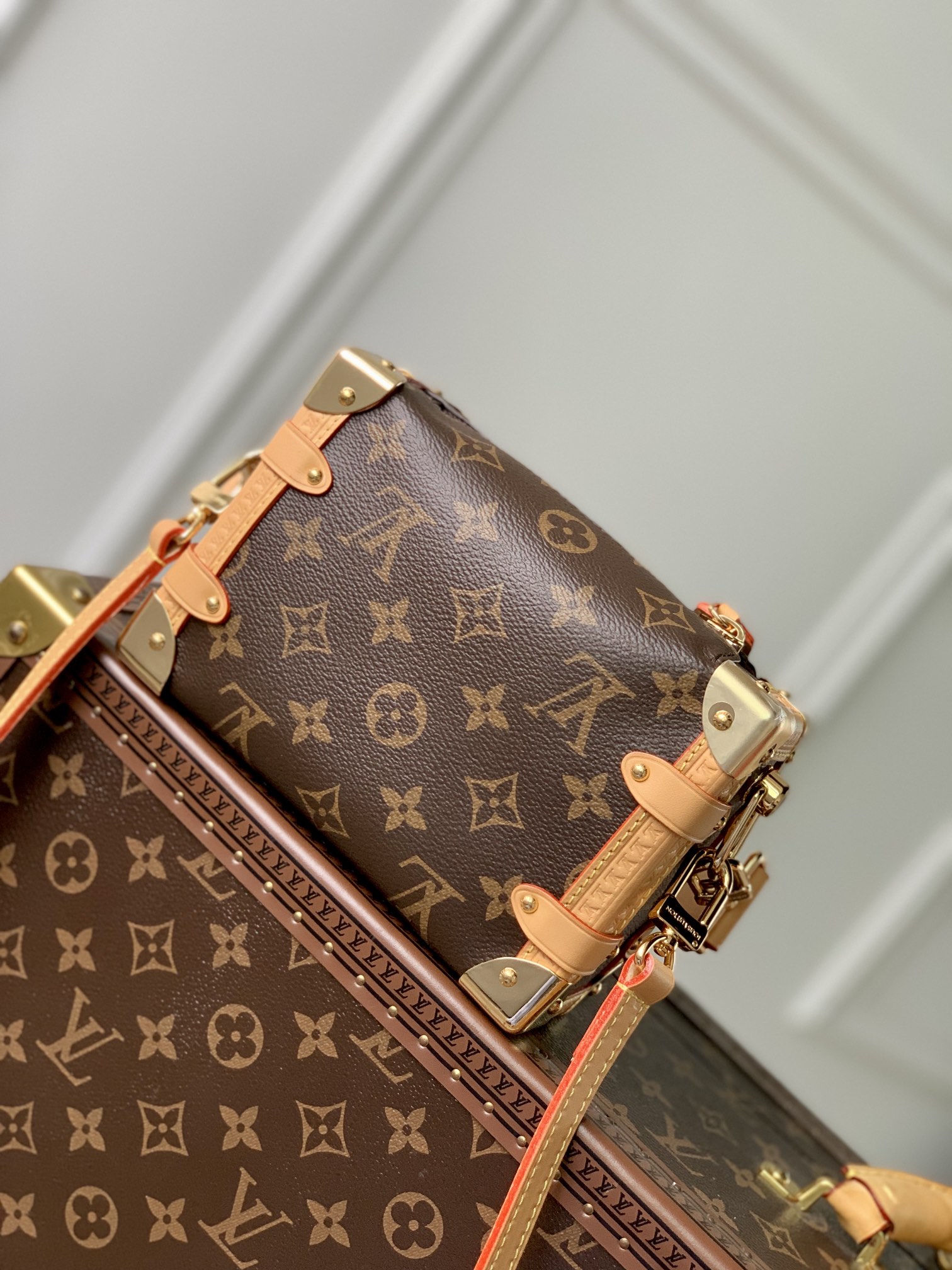LOUIS VUITTON M46815 (18×12.5×8cm)